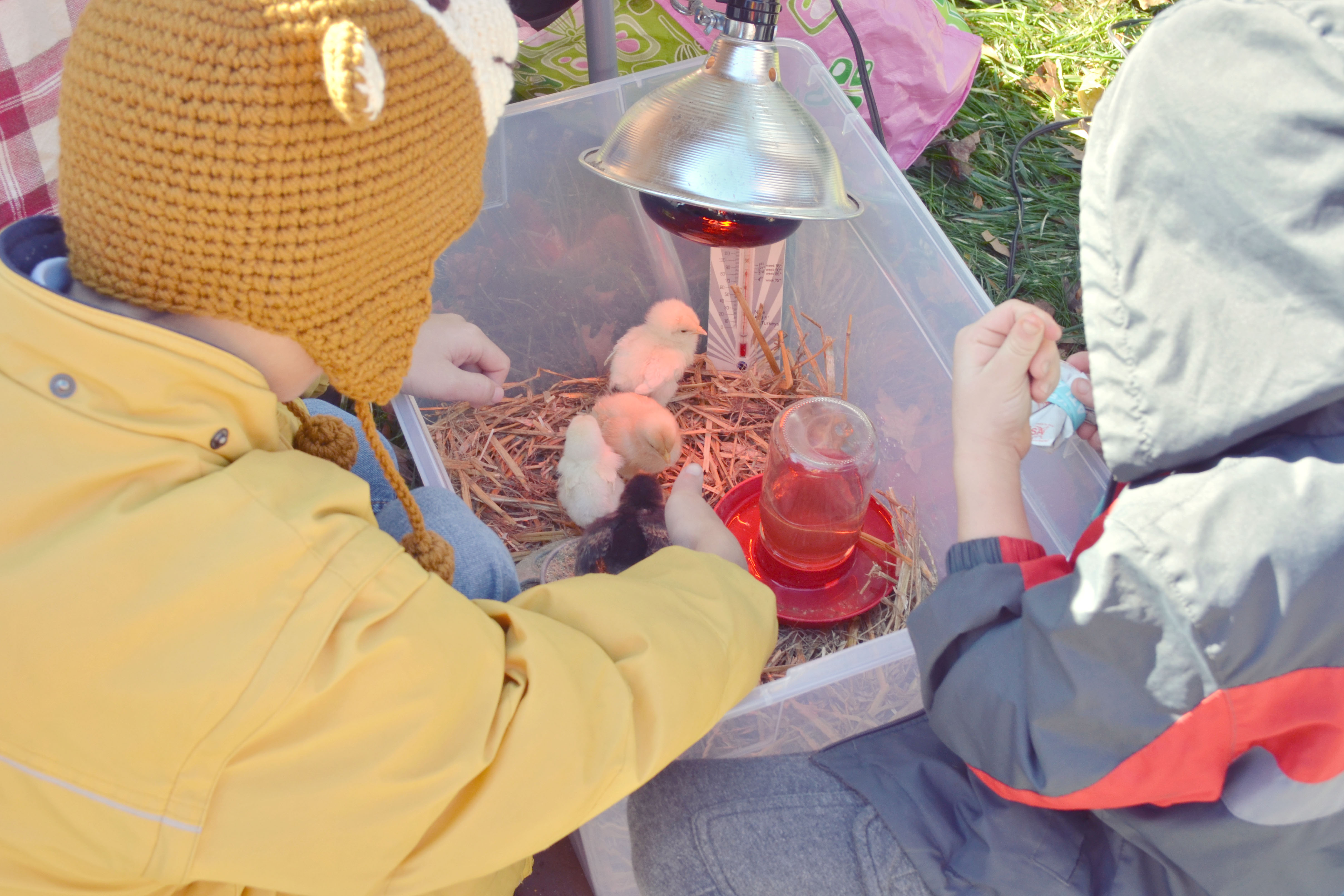 AMMF 2013: Weston A. Price Foundation (WAP)